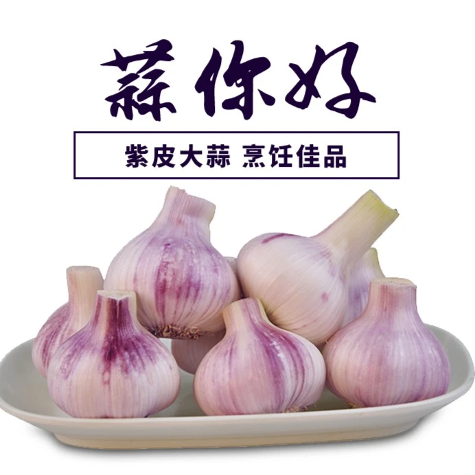 新鲜紫皮大蒜鲜蒜现挖大蒜头湿大蒜糖蒜可腌制大蒜1/3/5/10斤