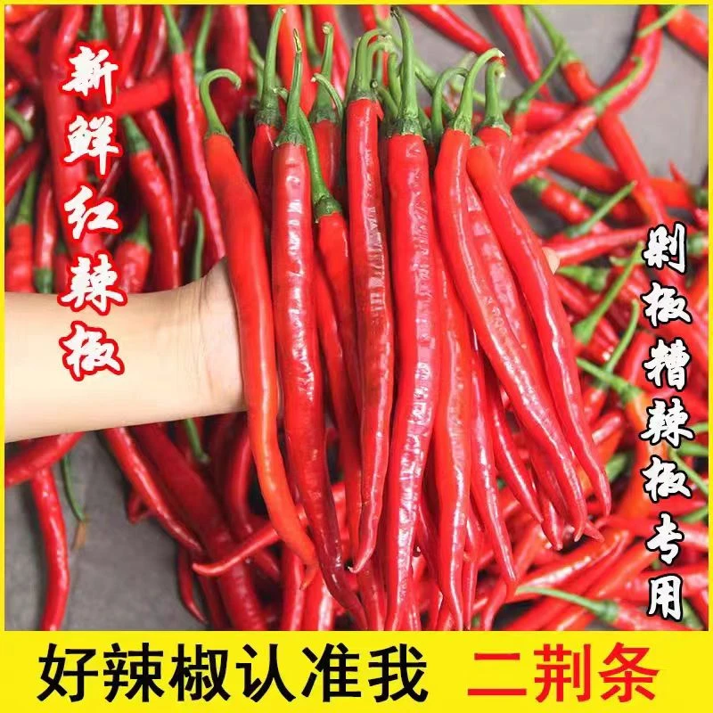 新鲜红二荆条红线椒特辣超香新鲜红辣椒泡椒尖椒3/5斤