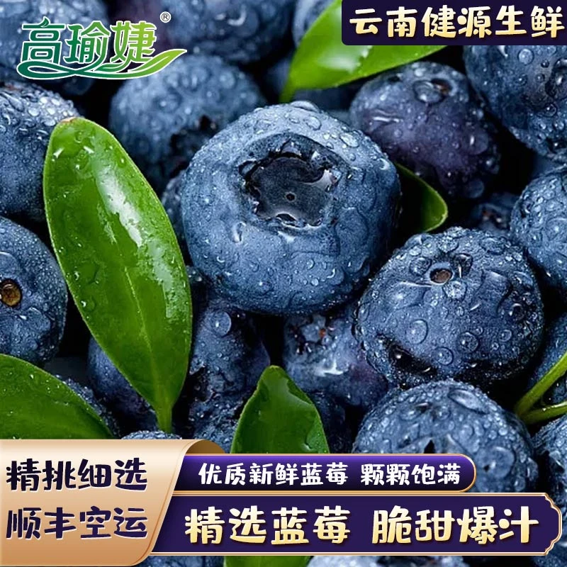 【彩云】云南澄江高山新鲜蓝莓空运包邮包赔爽口果粒采摘好吃发货