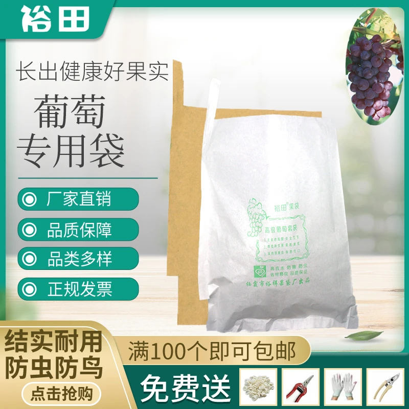 葡萄套袋子防水防虫防鸟阳光玫瑰专用杨桃水晶三色纸袋水果套袋