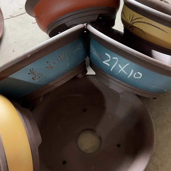 紫砂20CM以下100-6