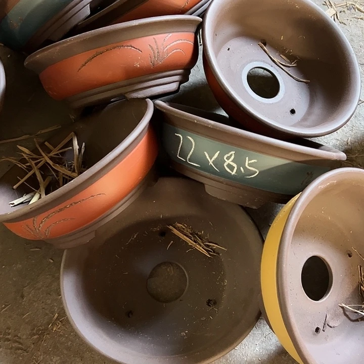 紫砂20CM以下100-8