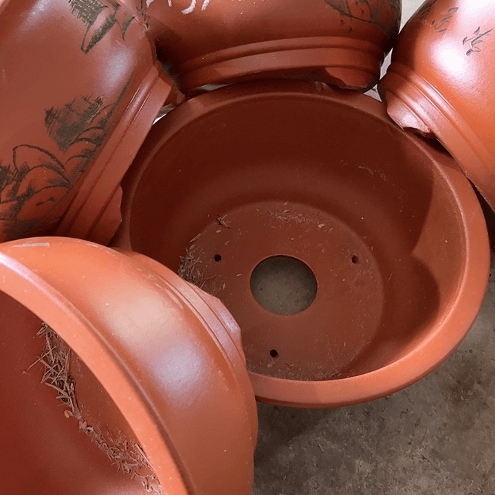 紫砂20CM以下100-5