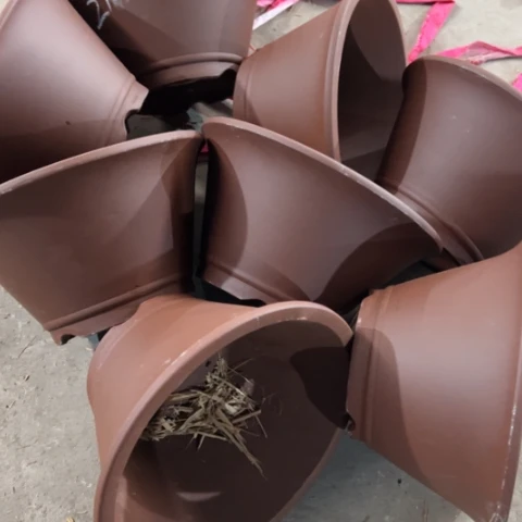 紫砂20CM以下100-8