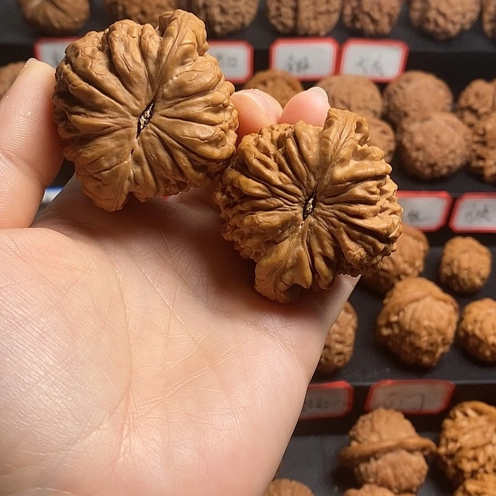 文玩核桃把件月*落龙鼎51.5
