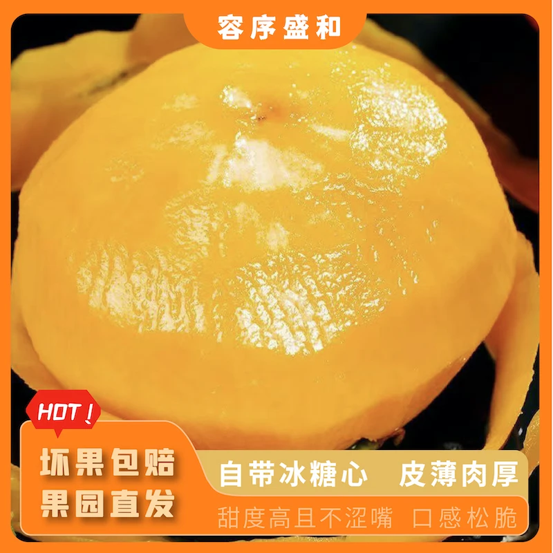 【巧克力脆柿】清甜爽口香甜爆汁冰糖心5斤装单果130-180g 10-18个