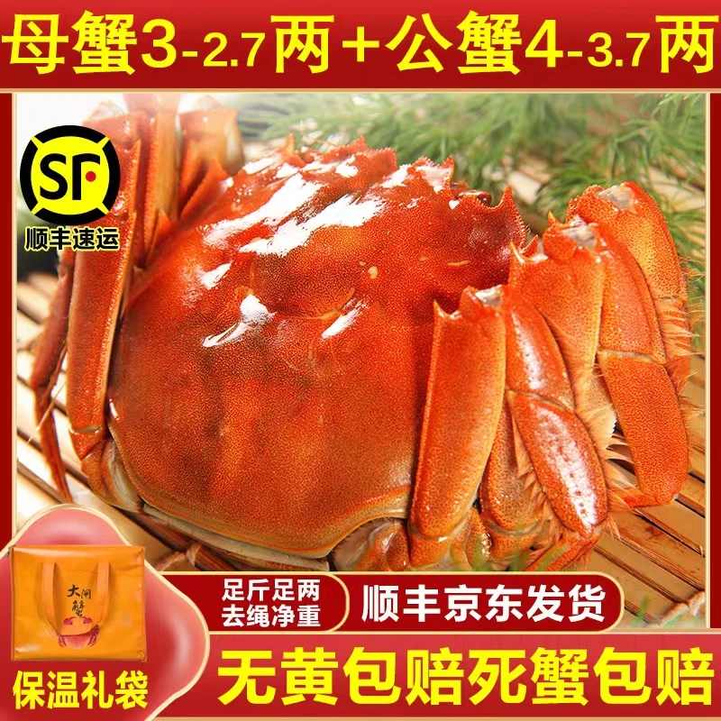 【活蟹】名蟹行精品母2.7-3两 公3.7-4两去绳净重5对共10只送礼