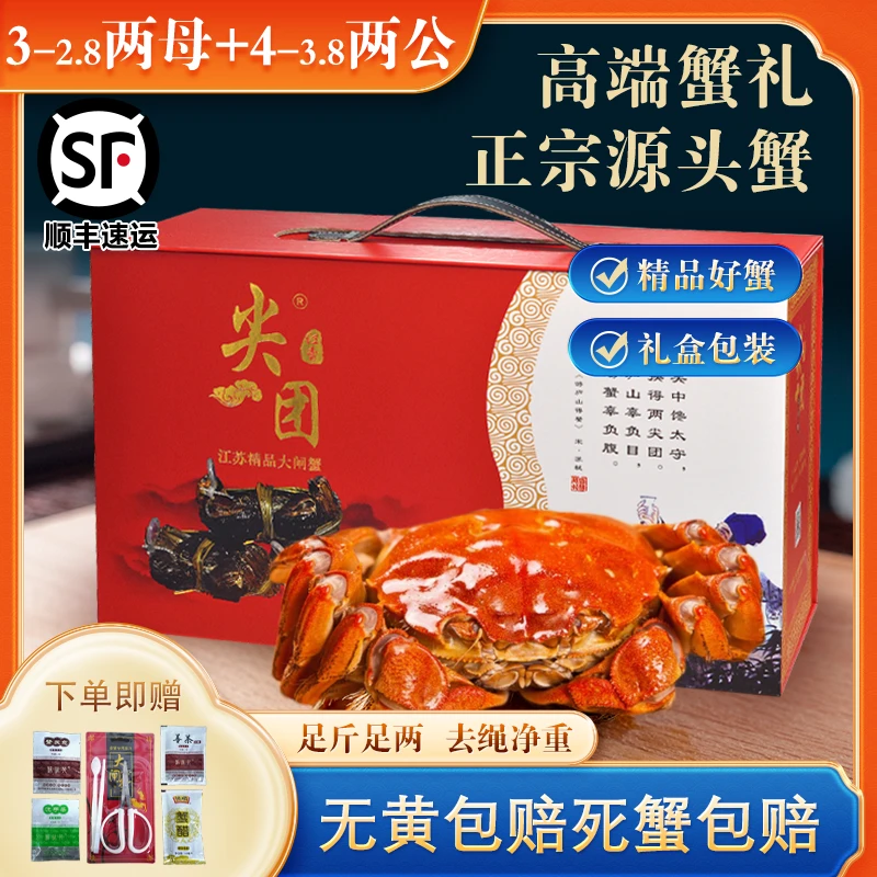 尖团【活蟹】尖团大闸蟹3-2.8两母蟹+4-3.8两公蟹8-10只去绳净重