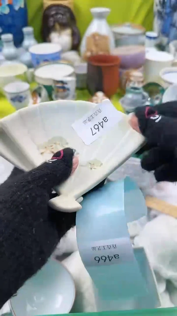 【闪购商品】密胺瓷片a467