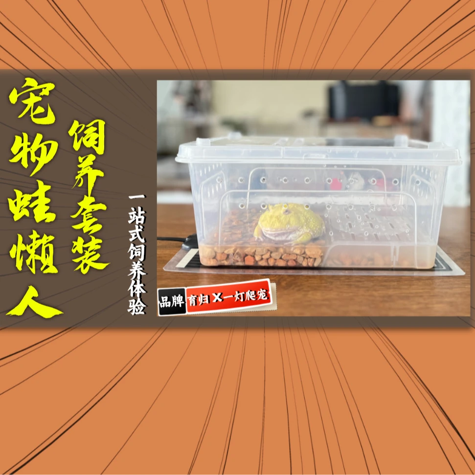 宠物蛙懒人套装预防肠胃炎减少换水频率