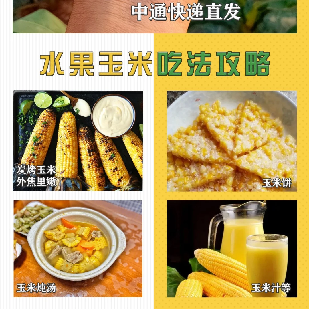 QF福利 500单水果玉米 新鲜采摘 4.5斤装 生吃 甜脆爆浆 甜玉米