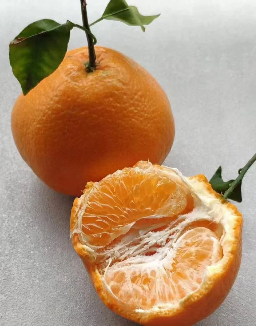 耙耙柑（2斤左右）