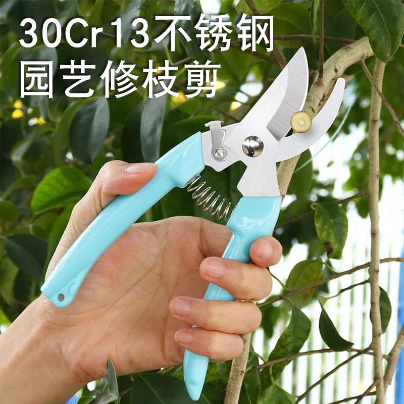 锐晨园林园艺剪刀树枝粗枝摘果剪果树家用多功能修枝剪花艺剪工具