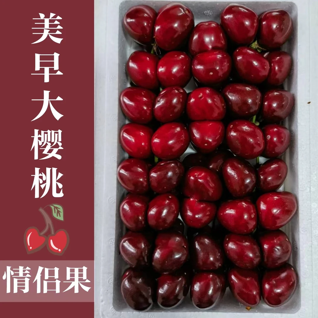 大连美早大樱桃情侣果3斤2J-5J装顺丰空运