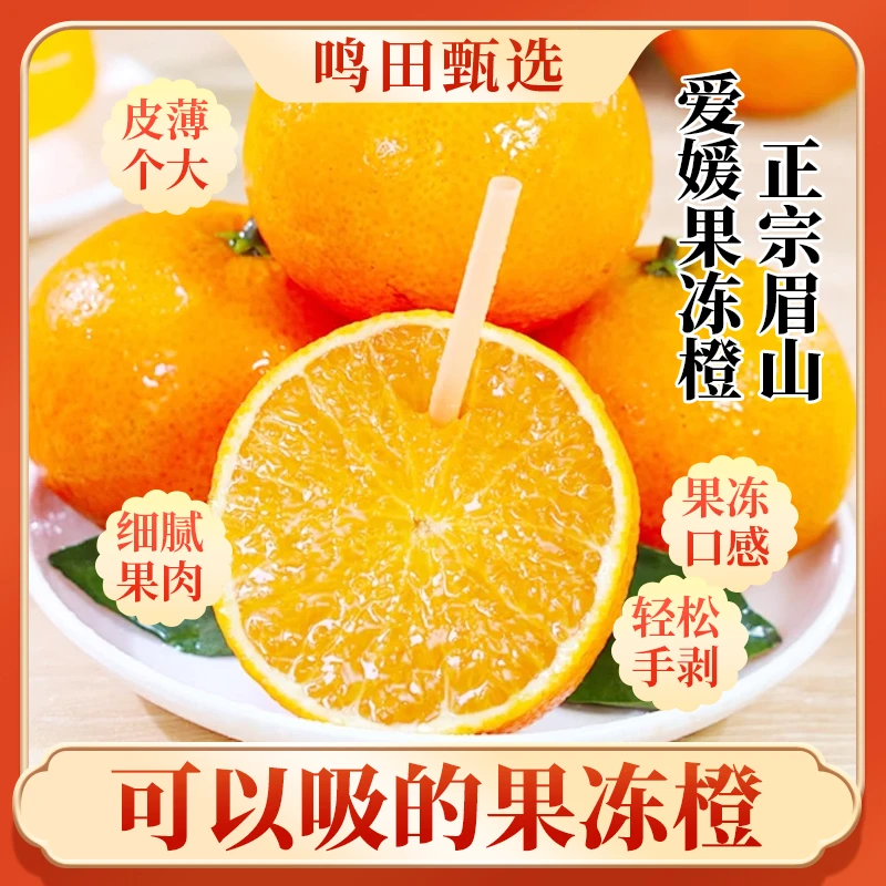 四川蒲江眉山爱媛果冻橙子果园直发年货送礼孕妇新鲜水果坏果包赔
