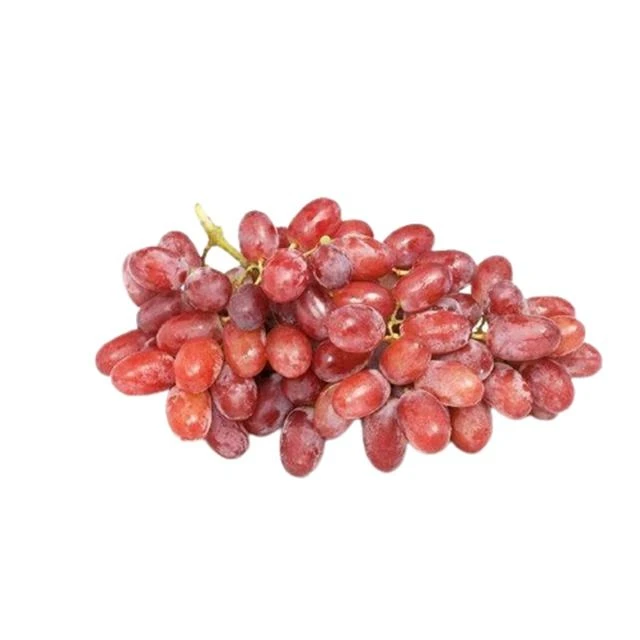新鲜 无籽红提 500g/份