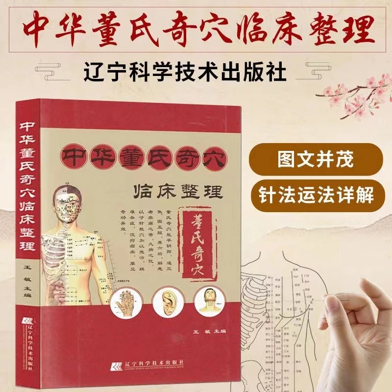中华董氏奇穴临床整理 赠挂图 董氏奇穴针灸全集中医董氏奇穴针灸