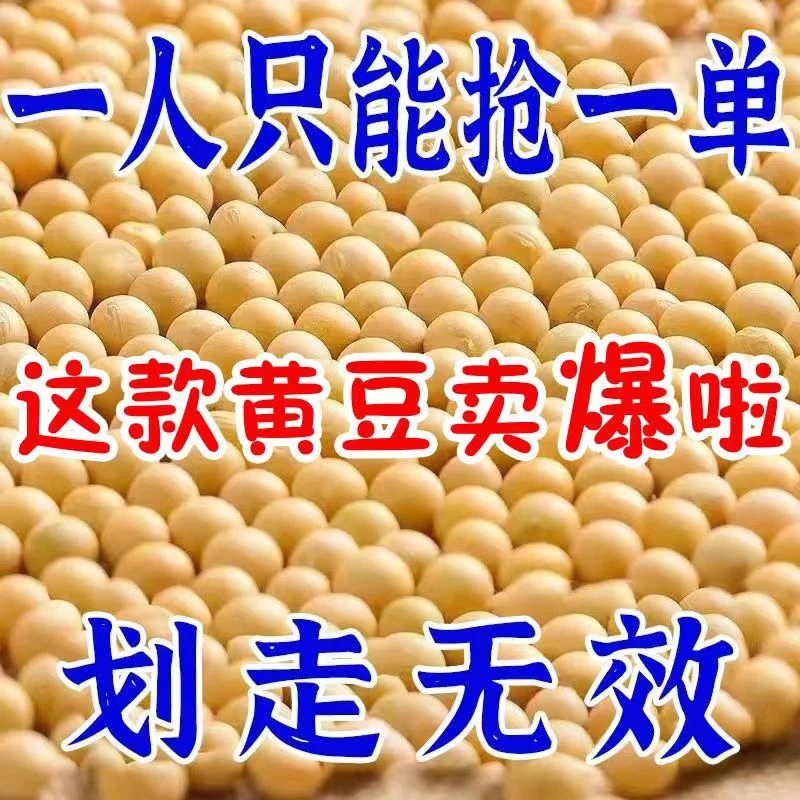 东北新黄豆打豆浆用非转基因大豆农家发豆芽粗粮黄豆批发五谷杂粮