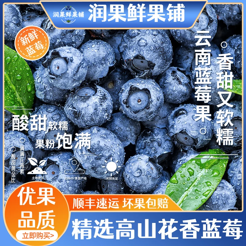 云南澄江25蓝莓鲜果新鲜应季高端水果蓝梅现摘特大果整箱超大顺丰