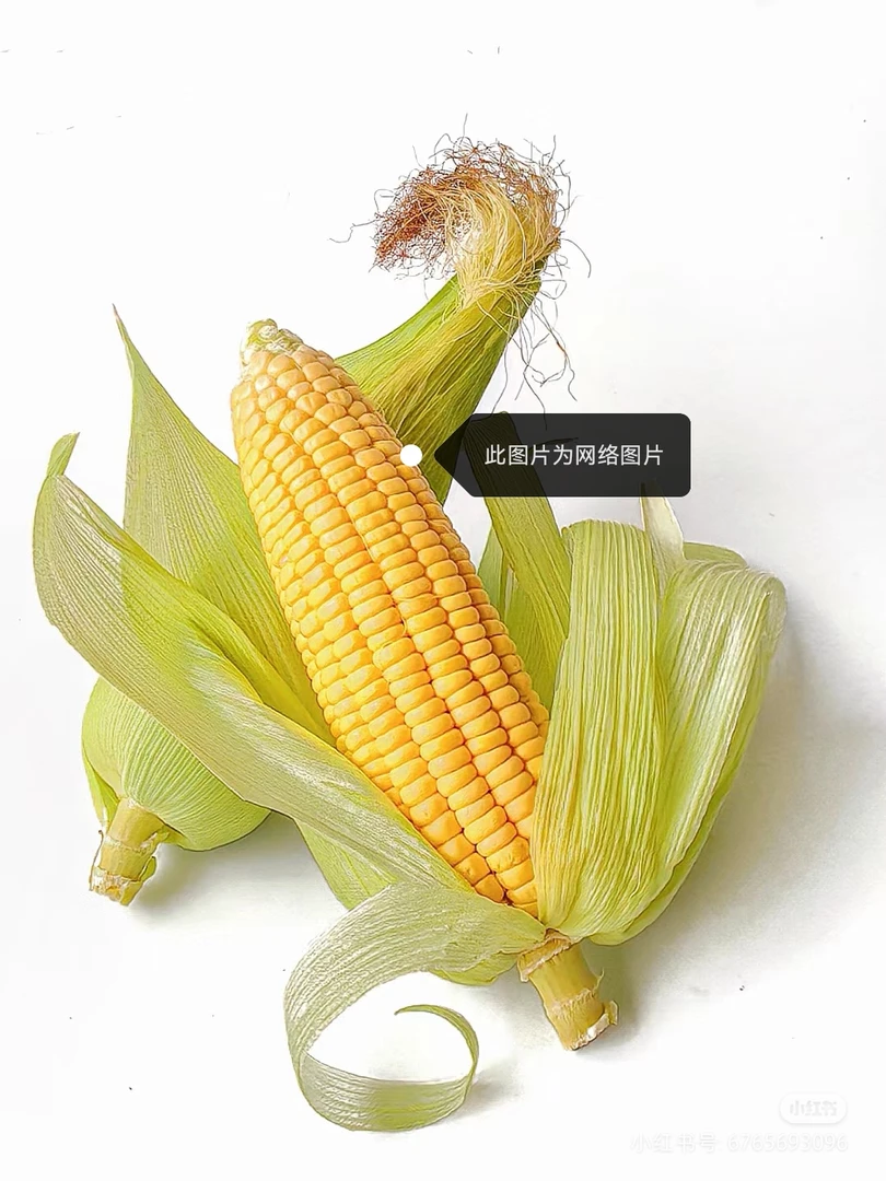 速冻粘玉米需煮熟10根