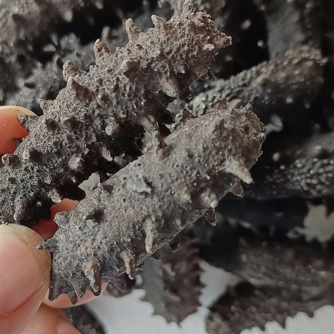 大连散养淡干海参，免费送良心酱油一桶