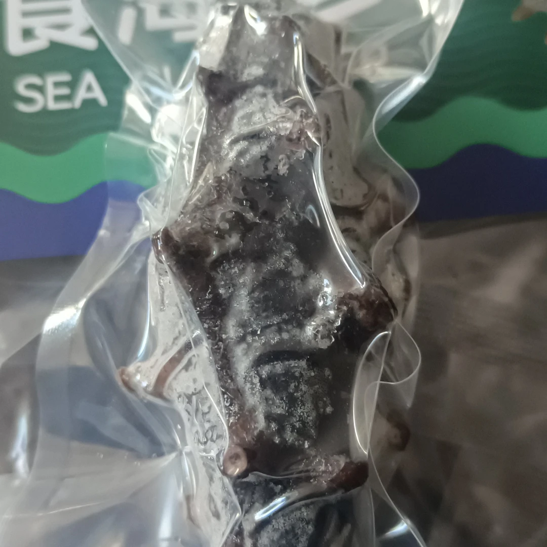 大连散养鲜食海参10头-12头