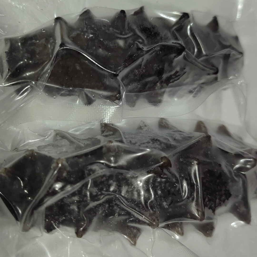 50个鲜食海参，大连散养的，真空负压加工方法，营养不流失