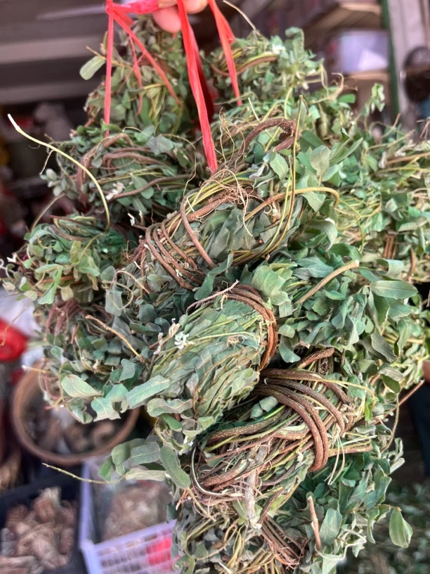 深山野生鸡骨草新鲜晒干煲汤佳品