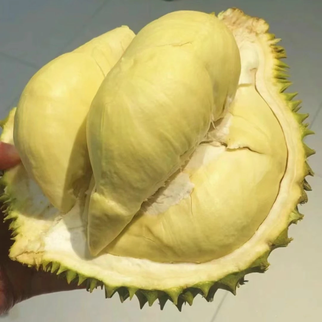 【武汉送货上门】1号金枕榴莲（一果一拍，拍下默认开果）【湖大榴莲】榴莲同城配