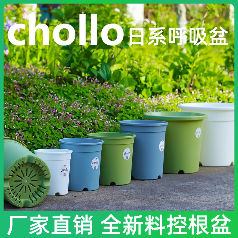 chollo多肉花盆月季绣球全新料pp塑料加仑盆加厚控根透气工厂直销