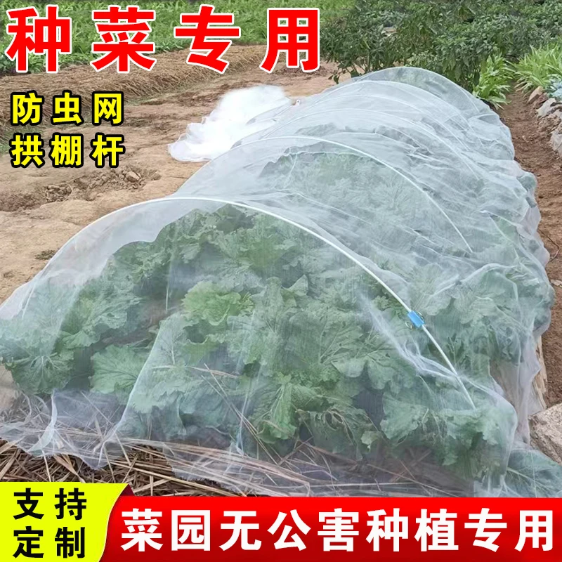 菜地防鸟用的网蔬菜防鸟纱网种菜防虫网种菜专用网盖菜地拱棚网罩