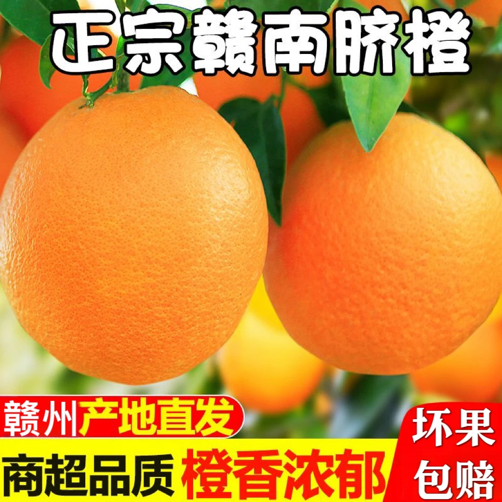 【产地直发】正宗赣南脐橙江西橙子新鲜当季水果香甜爆汁5/10斤包邮