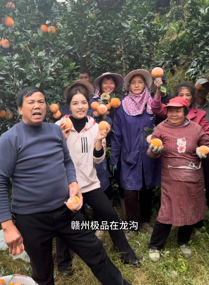 （莉琴助农）精选江西赣南脐橙新鲜采摘香甜多汁5斤/10斤/20斤装