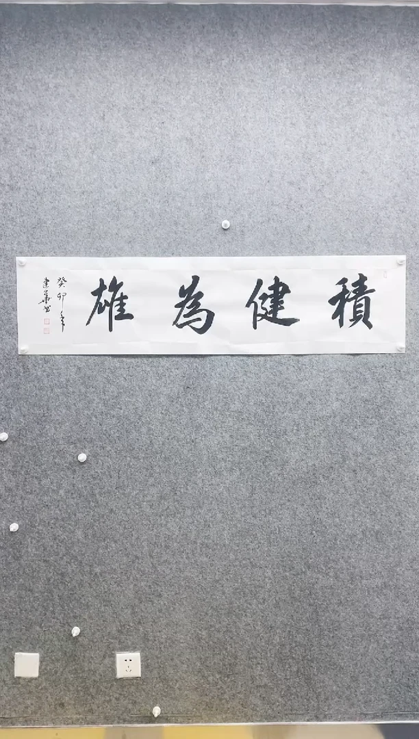 【闪购商品】书法积健为雄