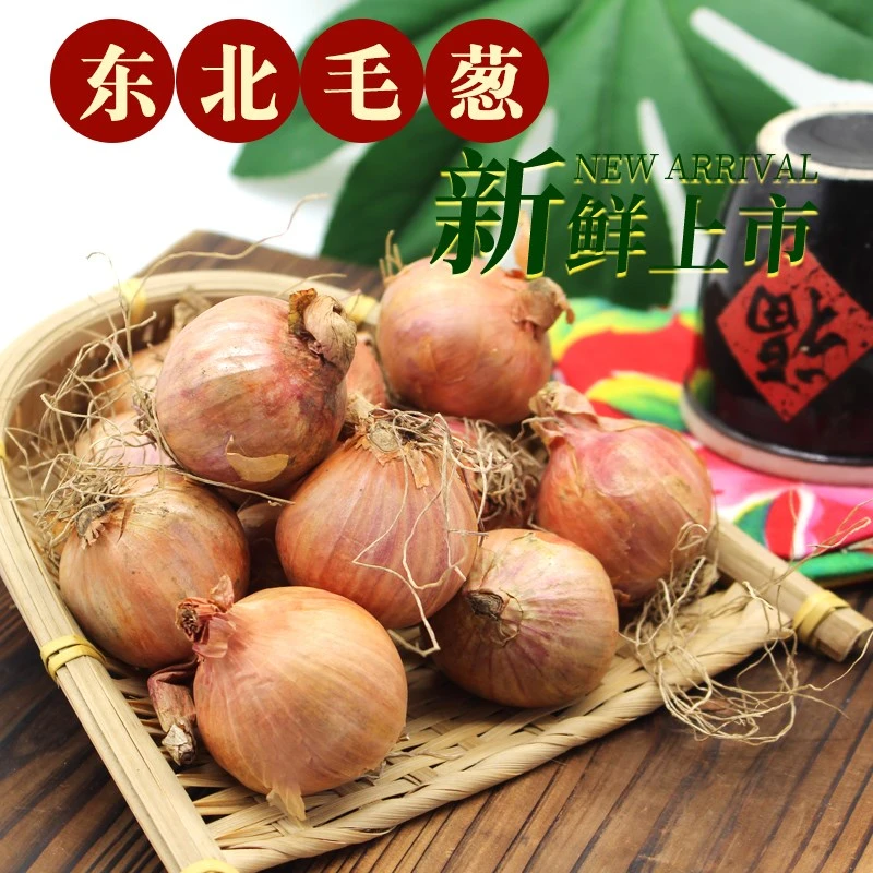 东北毛葱头农家特产新鲜3斤小洋葱头种子迷你圆红葱头今年新葱上