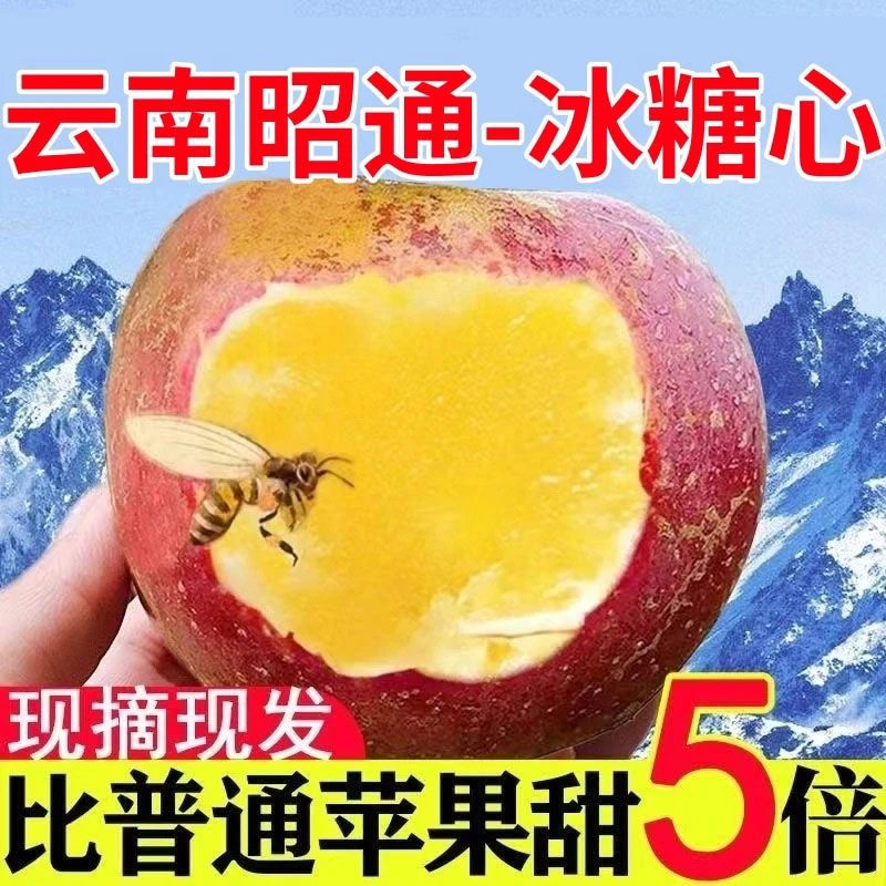 正宗云南昭通冰糖心丑苹果新鲜采摘脆甜水果冰糖心昭通苹果包邮