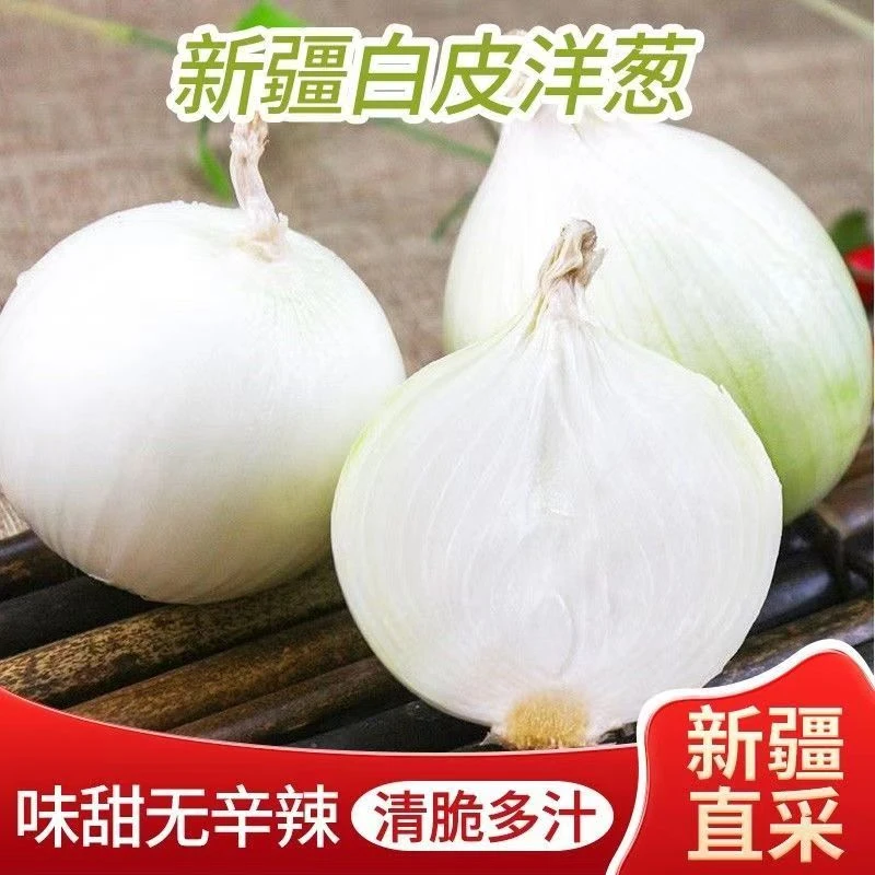 【新疆白美人洋葱包邮】25年新品有辣多汁可去腥调馅凉拌佳产地发货