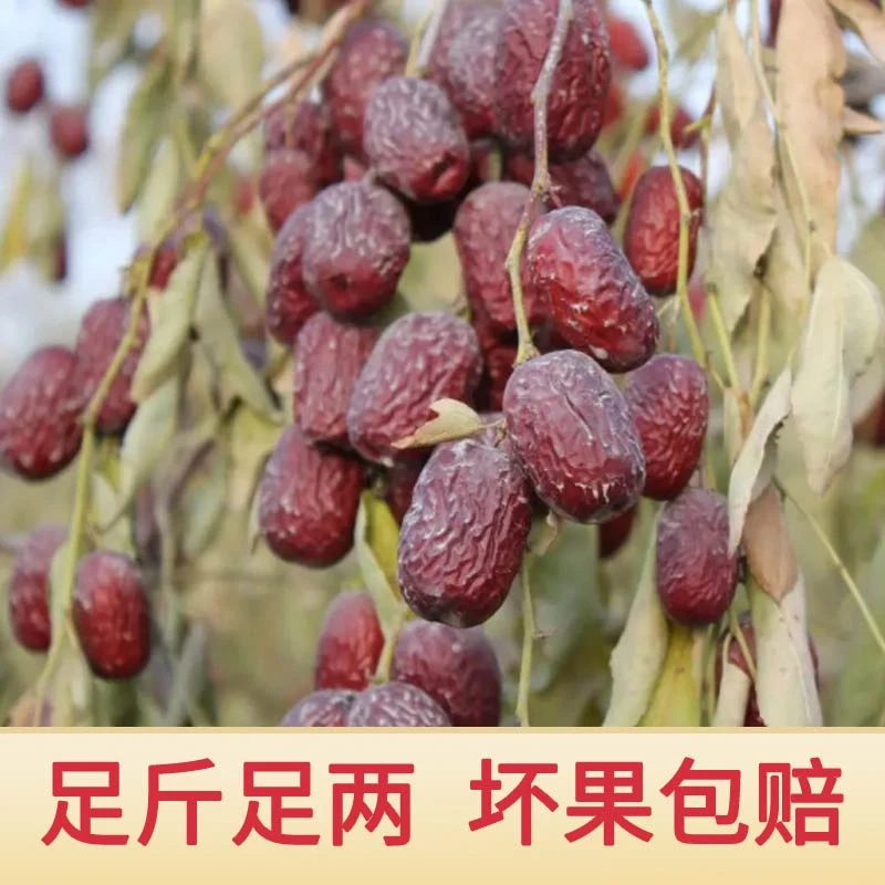 红枣若羌灰枣新疆特产戈壁滩自然风干晾晒细饱满枣香甘甜带土细腻