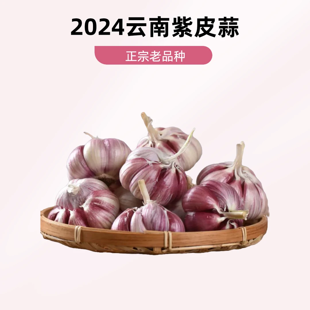 【2025云南紫皮蒜】 Z新蒜 蒜 辣蒜腊八蒜 蒜苔 腌蒜泡蒜 1/3/5/9斤