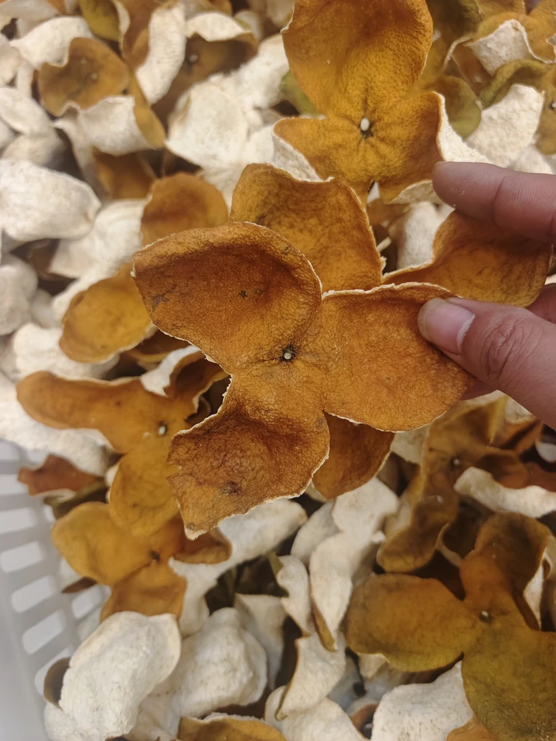 2024年茶坑原枝大红皮高香甜新会陈皮50克250克500克茶枝柑装