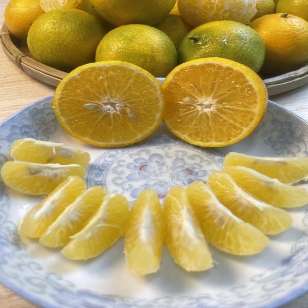 【云南贡柑】手撕橙新鲜采摘 5斤装 甘甜可口水分充足产地直发