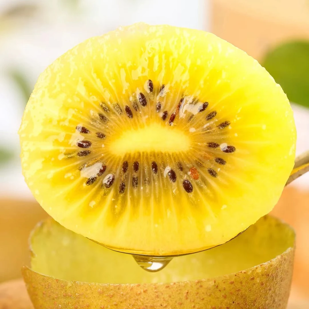 四川蒲江黄心金奇异果 12-24个装 香甜多汁 产地直发 坏果包赔