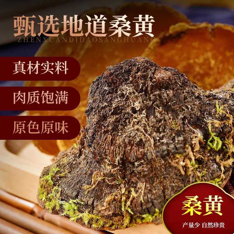 【胖墩墩推荐】长白山 原产地 桑黄 净含量250g500g