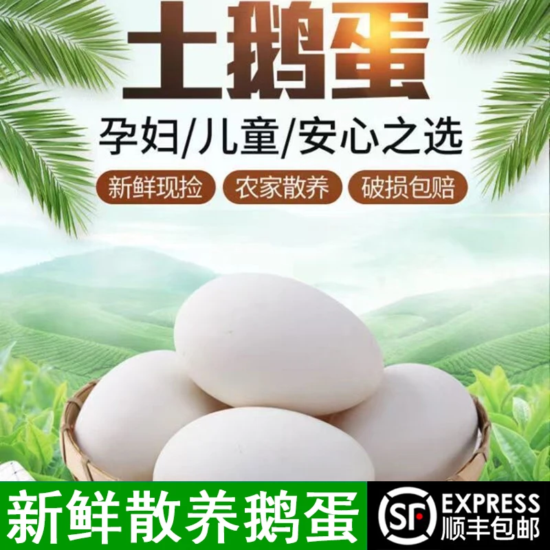 【粉丝福利】现捡现发新鲜散养鹅蛋一箱单个重110g-130g顺丰包邮