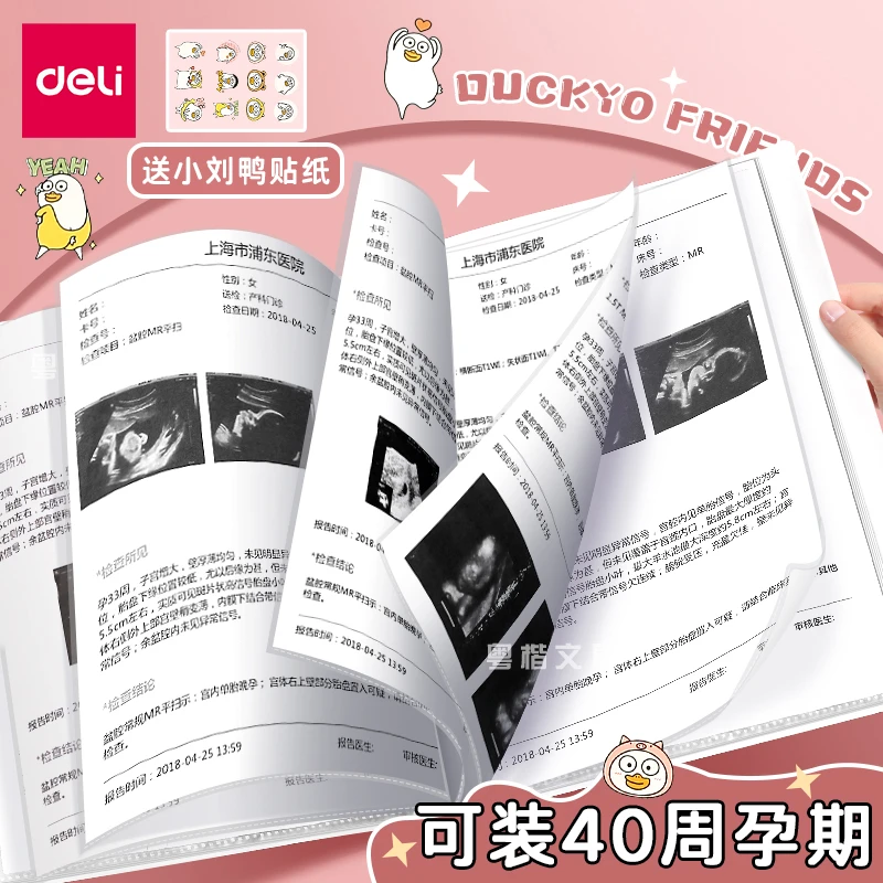 得力A4文件夹透明插页多层龙宝宝孕期检查报告单怀孕记录册资料册