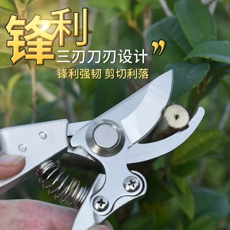 修枝剪果剪树剪省力粗枝剪刀家用园林园艺多功能强力树枝剪