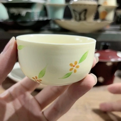 壶高温陶瓷茶具茶壶盖碗杯