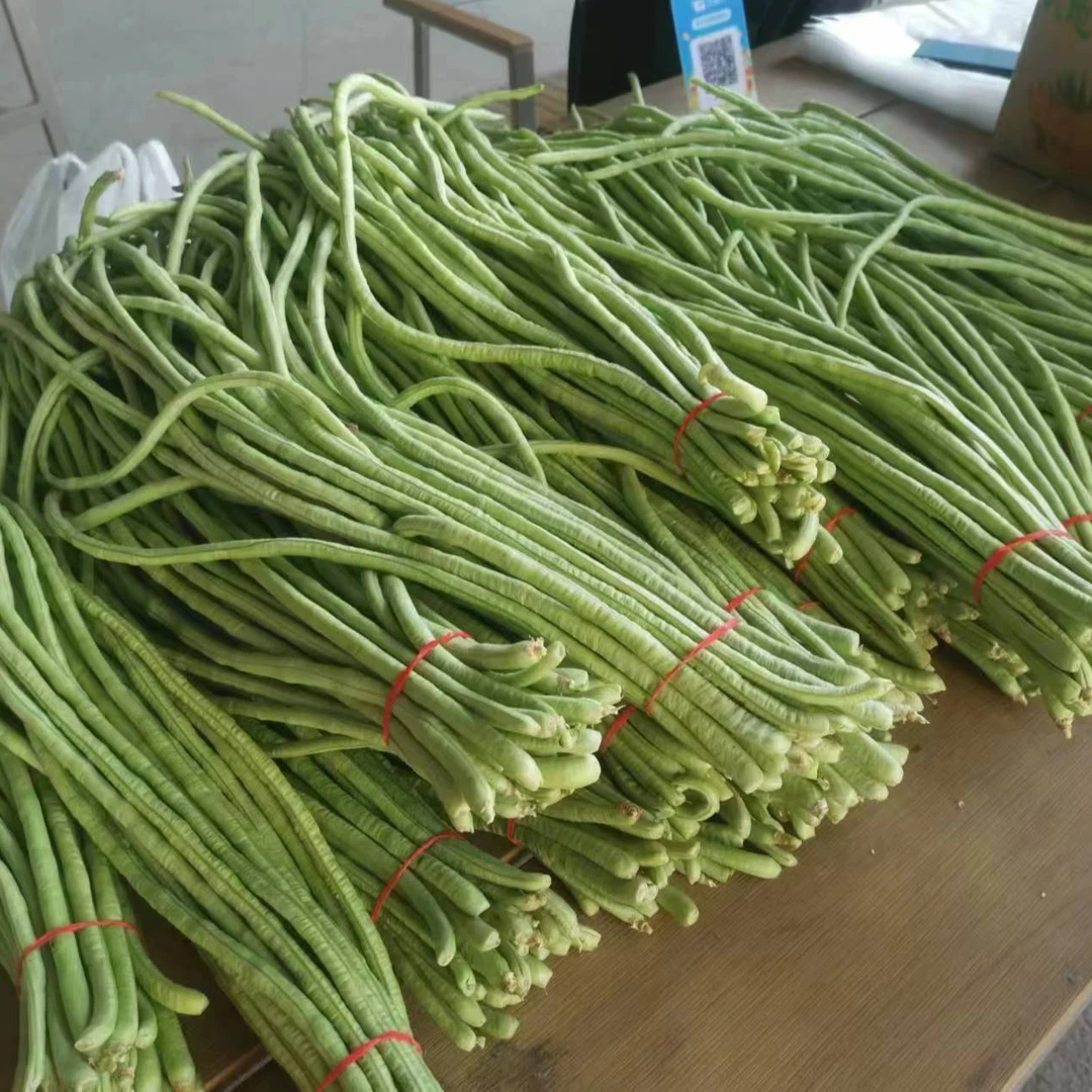 新鲜豆角番茄甜瓜现摘蔬菜嫩豆角菜缸豆产地农家自种蔬菜泡菜包邮