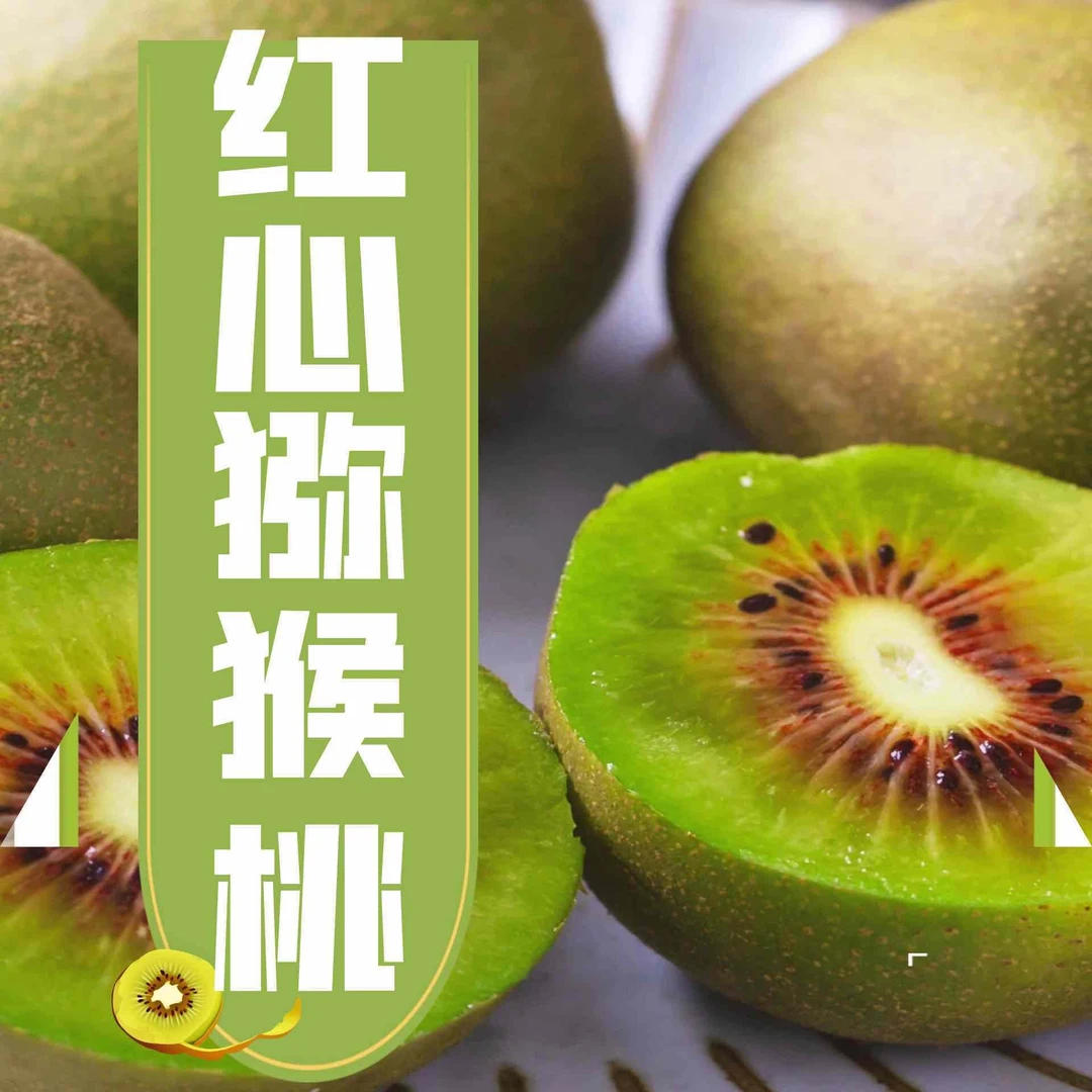 【当季现摘】都江堰红心猕猴桃90-110g大果24枚包邮