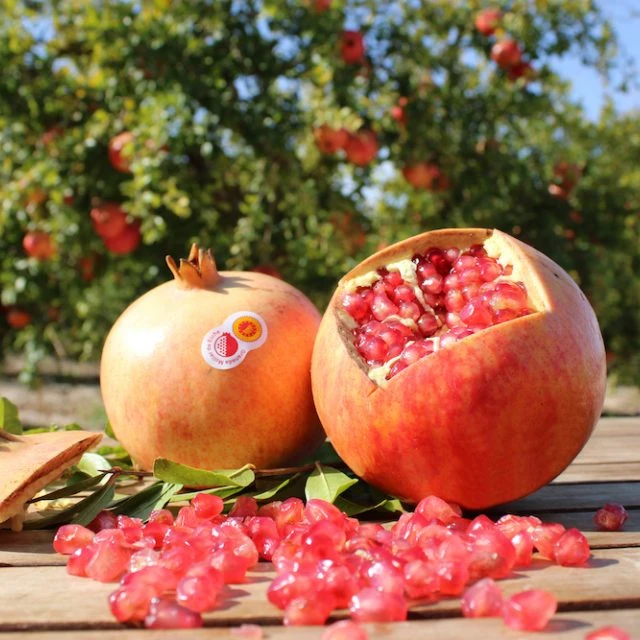 种花王大爷 软籽石榴慕乐果树花卉植物盆栽四季庭院阳台树苗